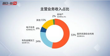 鵬起科技（600614）深度分析 發展歷程、主營業務結構與財務狀況